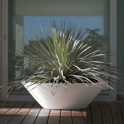 Ghiveci plante design decorativ modern exterior / interior CENTRE POT 120x36cm