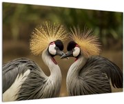 Tablou cu păsări (90x60 cm)