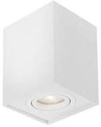 Spot aplicat directionabil RENDE alb NVL-820202