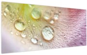 Tablou - Picături de rouă (120x50 cm)