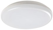 Rabalux 7979 - Plafonieră LED exterior ERIC LED/24W/230V IP64