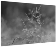 Tablou - Pajiște de țară (90x60 cm)