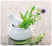 Protecție din sticlă pentru peretele de lângă aragaz Wenko Herb, 50 x 56 cm