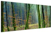 Tablou cu pădure (120x50 cm)