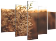 Tablou - Iarba înflorită (150x105 cm)