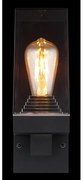 Aplică de exterior GABBA 1xE27/40W/230V IP44 Globo 31370