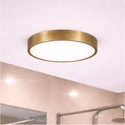 Brilagi - Plafonieră LED pentru baie POOL LED/24W/230V Ø 30 cm IP54 alamă