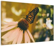 Tablou cu fluture pe floare (90x60 cm)