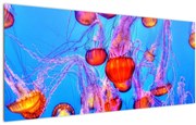 Tablou cu meduse în mare (120x50 cm)