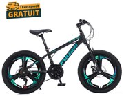 Bicicleta Fulger by Caraiman, roti 20 inch, cadru otel, frane pe disc, negru cu verde, BC82