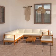 vidaXL Set fotoliu de grădină cu 9 piese și perne, 100x60 cm, lemn de salcâm