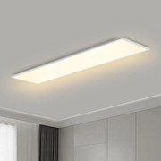 Brilagi - Lampă LED reglabilă SLIMFRAME LED/58W/230V 120x30 cm albă + telecomandă