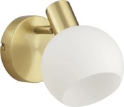 Brilliant - Aplică spot de perete CONY 1xE14/20W/230V alamă