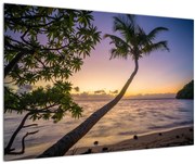 Tablou cu palmier pe plajă (90x60 cm)