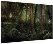 Tablou - Pădurea enigmatică (90x60 cm)