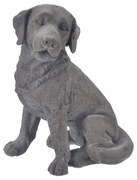 InDecor Câine din ceramică, gri, 23 x 19 x 33 cm