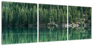 Tablou - Coniferi lângă lac (cu ceas) (90x30 cm)