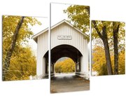 Tablou cu podul în Oregon (90x60 cm)