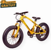 Bicicleta FatBike Fulger by Caraiman, roti 20 inch, cauciucuri groase, frane pe disc, aurie