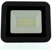 Proiector LED 30W 2700lm IP65 6500K negru Well