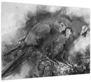 Tablou - Acuarelă papagali (70x50 cm)