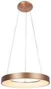 Rabalux - Lustră LED pe cablu CARMELLA LED/50W/230V