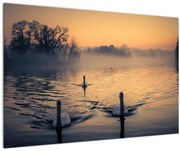 Tablou cu lebăde pe apă în ceață (90x60 cm)