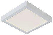 Lucide 07106/18/31 - Plafoniera TENDO-LED LED/18W/230V