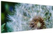 Tabloul cu păpădie desflorit (120x50 cm)
