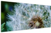 Tabloul cu păpădie desflorit (120x50 cm)