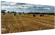 Tablou cu câmp recoltat (120x50 cm)