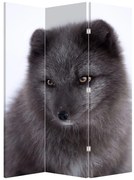 Paravan - Vulpe polară (126x170 cm)