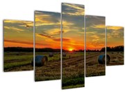 Tablou - Baloți din sat (150x105 cm)