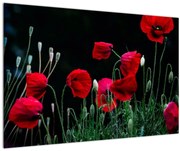 Tablou - Dansul macilor (90x60 cm)