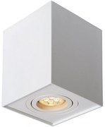 Lucide 22953/01/31 - Lampă spot TUBE 1xGU10/42W/230V alb