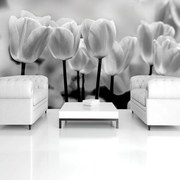 Fototapet - Lalele (152,5x104 cm)