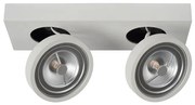 Lucide 09920/20/31 - LED Lampă spot dimmabilă NENAD AR111 G53/2x10W/18V