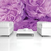 Fototapet - Flori (152,5x104 cm)