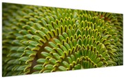 Tablou - Fern (120x50 cm)