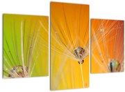 Tablou cu picături pe plantă (90x60 cm)