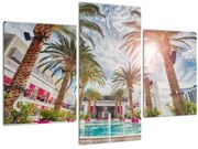 Tablou - palmier cu bazin (90x60 cm)