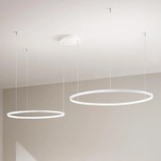 Ondaluce - Lustră LED dimabilă pe cablu SOEL LED/28W/230V + LED/38W, albă