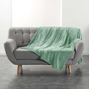 Pătură verde-deschis din microflanel 180x220 cm Flanou – douceur d'intérieur