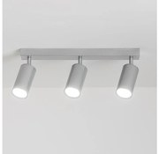 Spot pentru baie Brilagi SELE 3xGU10/30W/230V IP44 argintiu