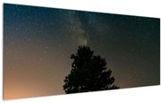 Tablou cu cerul nocturn și copaci (120x50 cm)