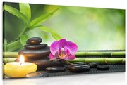 Tablou Feng Shui armonie