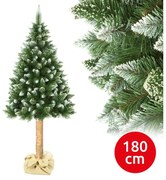 Pom de Crăciun pe trunchi 180 cm pin