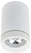 Spot LED aplicat de tavan/plafon Bill alb ZZ AZ3375