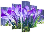 Tablou cuflori în ploaie (150x105 cm)