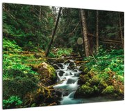 Tablou cu pârău în pădure (70x50 cm)